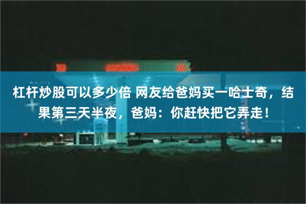 杠杆炒股可以多少倍 网友给爸妈买一哈士奇，结果第三天半夜，爸妈：你赶快把它弄走！