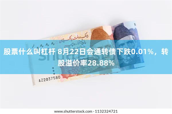 股票什么叫杠杆 8月22日会通转债下跌0.01%，转股溢价率28.88%